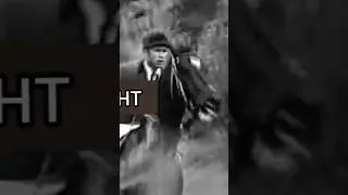 Ахалтекинский жеребец Абсент