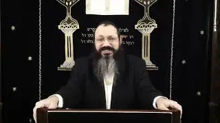 раввин Довид Фельдман, недельная глава Ваехи, 5782 год.