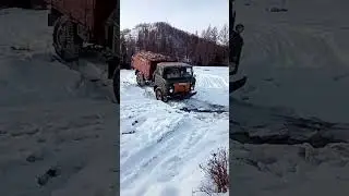 шишига в деле