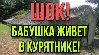 ШОК! БАБУШКА ЖИВЁТ В КУРЯТНИКЕ. СЛОВО ПАЦАНА.