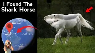 I Found Shark Horse 🐎 in Real Life On Google 📍🌎 Earth And Maps! 