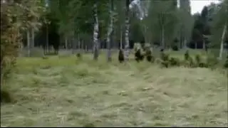 videoplayback 21