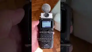 Do They Have Good Displays? Zoom H5 vs H8