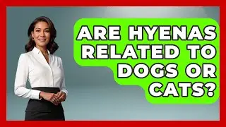 Are Hyenas Related To Dogs Or Cats? - The Wild Life Explorer