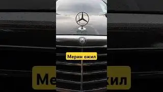 ЗВУК 388 КОБЫЛИНЫХ СИЛ. 
