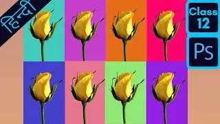 How To Change Background Color in Adobe Photoshop CC 2020 Tutorial in HINDI | KUJUR Graphics Design