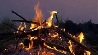 Эта черная ночь - Руслан Богатырев