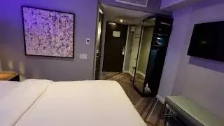 Behold The Premier "Plus" Hotel Room Vs Standard Room Is There a Difference?