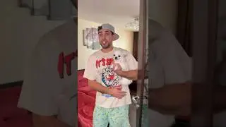 КОГДА ПОПРОСИЛ У МАМЫ ПОКУШАТЬ