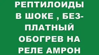 БЕЗ -ПЛАТНЫЙ ОБОГРЕВ НА РЕЛЕ АМРОН