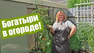 СПАСАЕМ РАСТЕНИЯ! Как работают 33 богатыря
