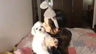 [ENG SUB/SUB INDO] - Blackpink Jisoo Vlive 2017-04-30 (달곰과치츄)