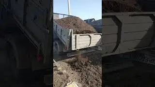 Привёз навоз для огорода)