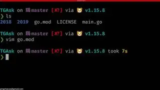 How to use Golang to make a telegram bot