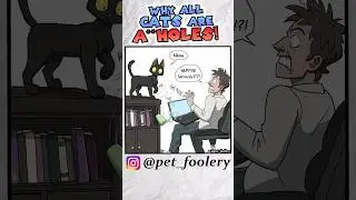 This Cat HATES Him! 🙀👿 | Funny Comic Dub