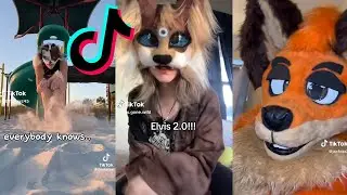 11 Minutes Of Fursuit | TikTok Compilation | Funny Furry 🐻 #
