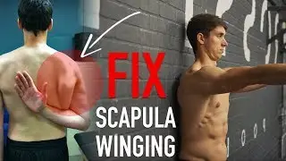 Fix Scapula Winging (FULL ROUTINE)
