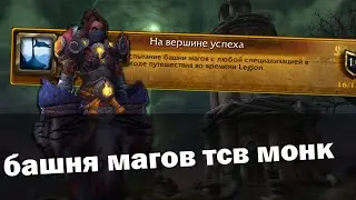 Башня магов 9.1.5 Тактика Монк ДД ТСВ | Падение Тотема Скверны | World of Warcraft Shadowlands