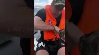 ГОЛОДНЫЙ ПЁС... 
