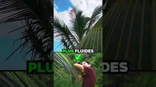 Technique numéro 2 pour faire des mouvements fluides et stables sans stabilisateur ! 