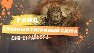Guide(Гайд) Главный Тигриный Слуга 7 Ранг ( Черный Храм ) Black Desert
