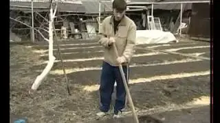 Плоскорез Фокина