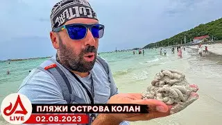 КОЛАН. Островной МОТО СТРИМ 🔴 Самые чистые пляжи Паттайи.