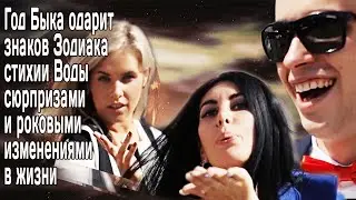 2021 Год Быка одарит знаков Зодиака стихии Воды крутыми сюрпризами и роковыми изменениями в жизни