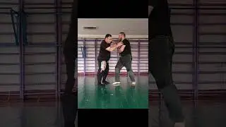 Защита от удара рукой (Гэккан (хэнка) Синдэн фудо рю)