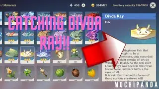 |Genshin Impact| Catching Divida Rays and location!!