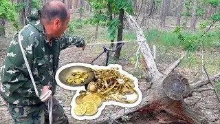 КЛАД ЗОЛОТЫХ МОНЕТ ПОД КОРНЯМИ! ТАНЦЕВАЛИ ОТ СЧАСТЬЯ! В ПОИСКАХ КЛАДА И ЗОЛОТА ОТ ВИКЛИНГА!