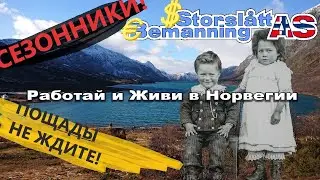 СУРОВОЕ ДЕТСТВО норвежских детей. РАБОТА на износ