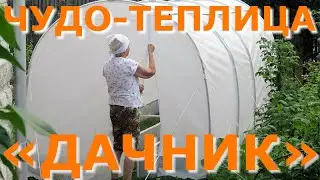 Мини-теплица "Дачник" - Чудо-теплица - альтернатива дорогим теплицам