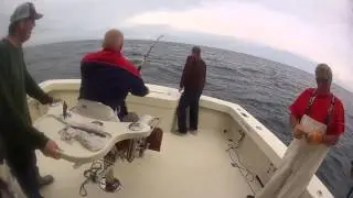 Triple Tuna