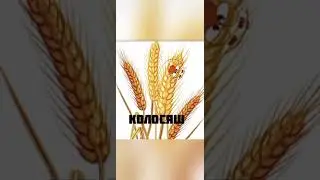 Смешарики + шиза