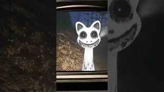 Zoonomaly Smile Cat in REAL LIFE - Smile Cat Jumpscares