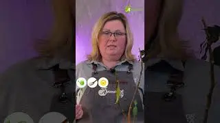 Почему опадают листья фикуса?