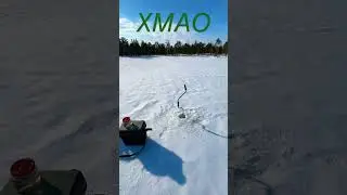 Трудовая рыбалка 