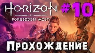 Прохождение Horizon Forbidden West / Запретный запад: Элой в котле #10