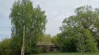 Деревня Вторая Быстровка/ Село детства/
