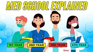 4 Years Of Medical School Explained