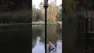 😮😍свайное поле на воде, из бани в реку🤔