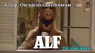 Альф. Він інопланетянин. Alf. He's an alien. Альф. Он инопланетянин. #alf