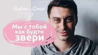 Мы с тобой как будто звери | Красивый стих о любви читает Мамедов Рамиль, современная поэзия