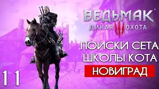 Охотимся на сет школы кота │ Ведьмак 3 Новиград