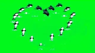 green screen  whale effect video background/ Machhali green screen video effect  new