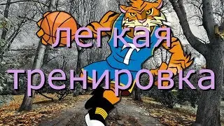 ЛЕГКАЯ И БЕЗОПАСНАЯ ТРЕНИРОВКА ДЛЯ РУК И ПРЕССА