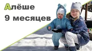 РЕБЕНОК 9 МЕСЯЦЕВ ♥  IQ Кубики Шумелки ♥ Ищем родник  ♥ Драфтозавры