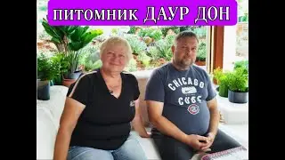 Известный питомник ДАУР ДОН / Кавказская овчарка+Среднеазиатская овчарка