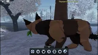(OLD)11